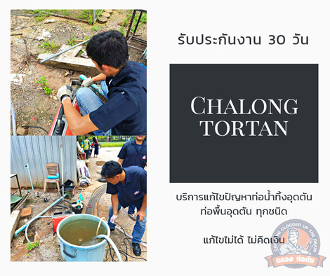แกลอรี่ 11