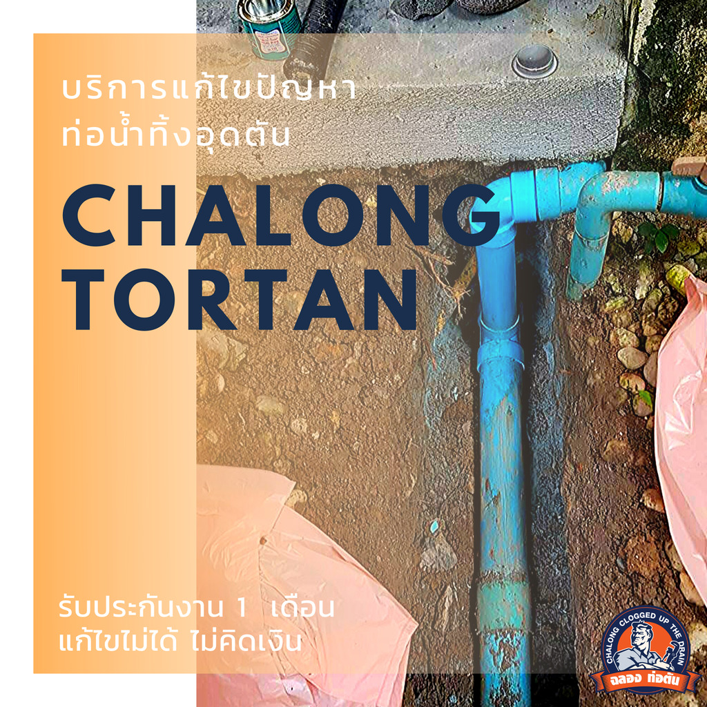 แกลอรี่ 10